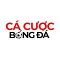 cacuocbongdaitcom1