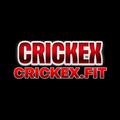 crickexfit