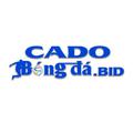 cadobongdabid