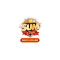 Sumclubbink
