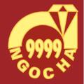 vangngocha