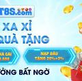 choi8scom