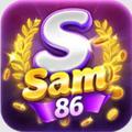 sam86innet1