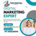 thedigitalcurve
