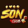 son52vin