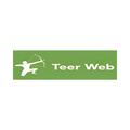 Teerweb