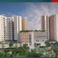 PrestigeSouthernStarLocatio