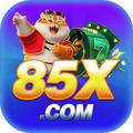 85xnetbr