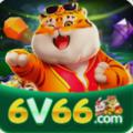 6v66bet