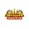 xocdia88brcom