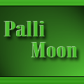 PalliMoon