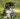 dreamcat956