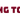 chongtoico